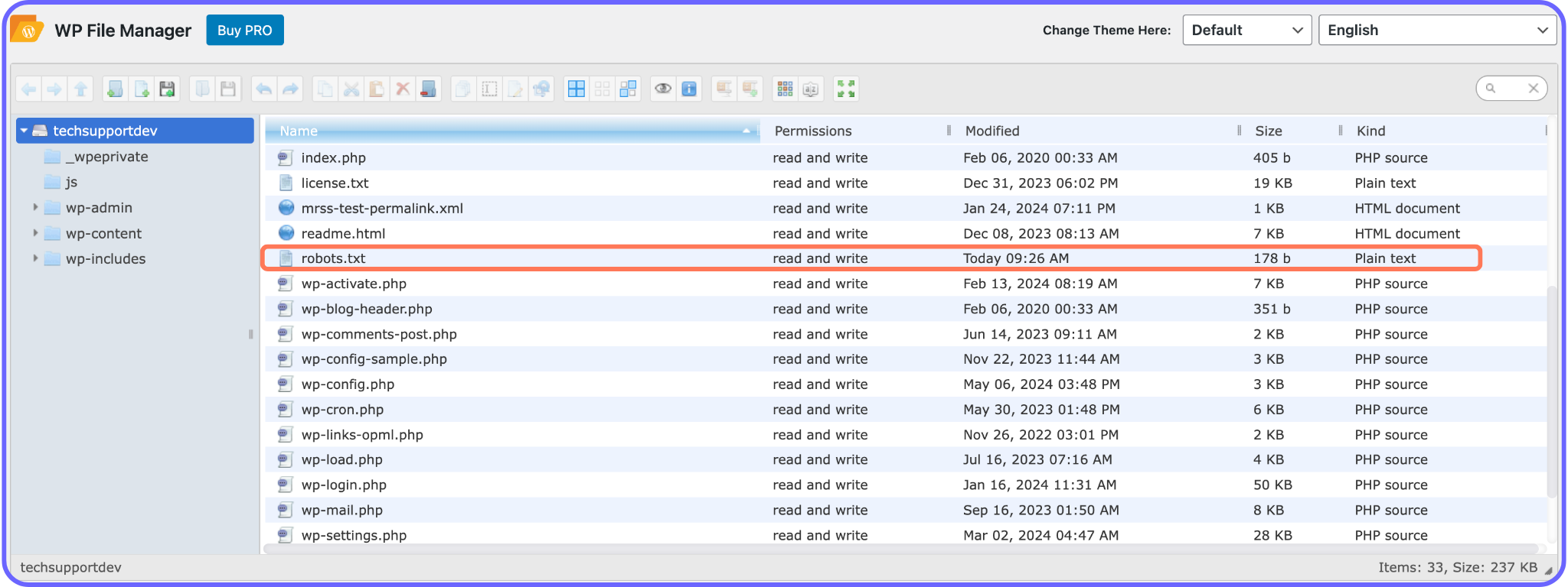 WP File Manager Robots.txt.png