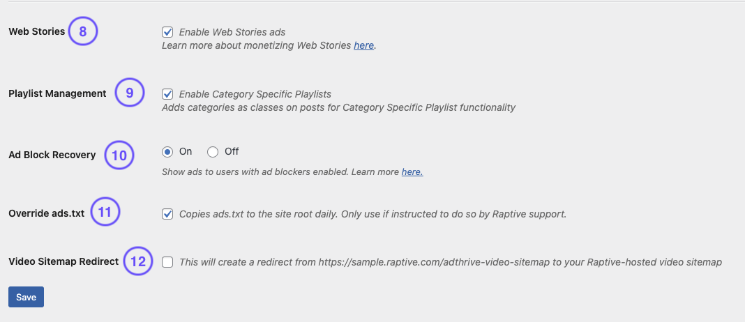 Raptive plugin overview - 3.png