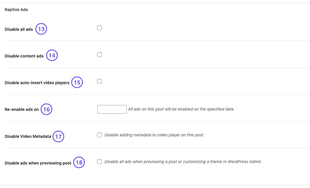 Raptive plugin overview - 4.png