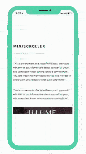 Mini.gif