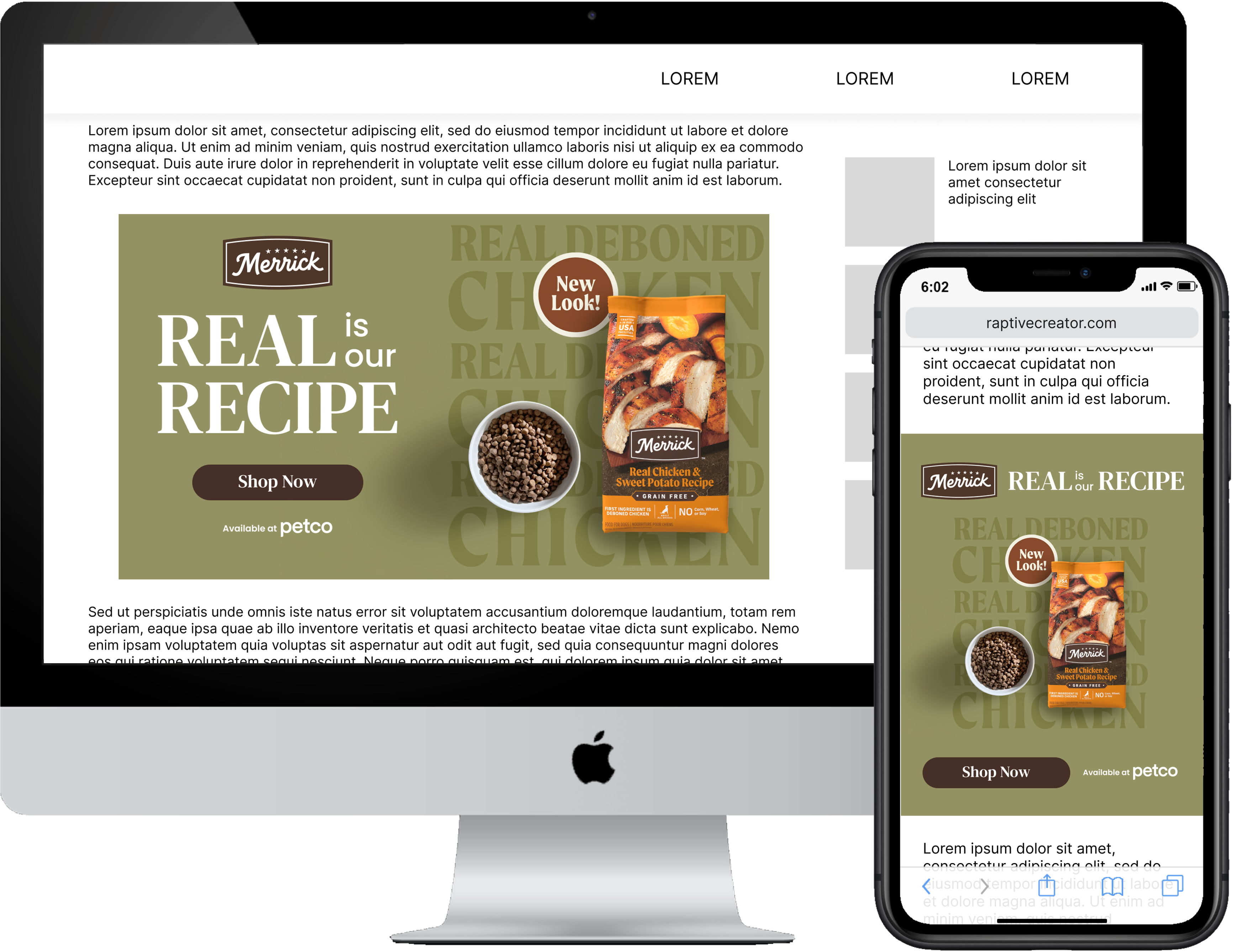 Raptive_Creator Dashboard_Large Format_Mock.png